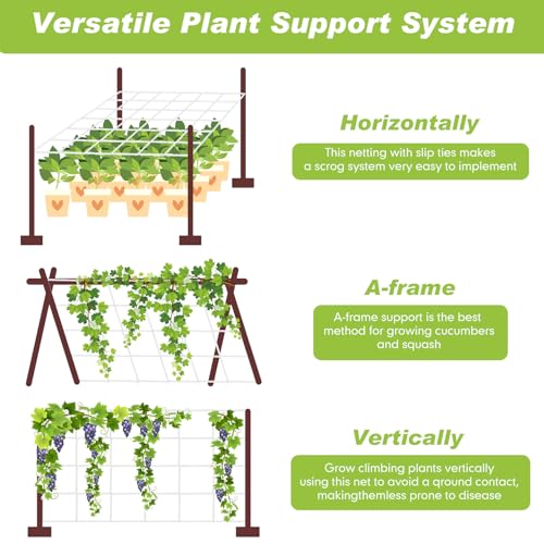 Berlune 5 x 1000 ft Trellis Netting Roll Heavy Duty Nylon Garden Trellis Netting with 6 Inch Mesh Soft Plant Support Net for Climbing Plants, Grape Racks, Growing Support Bean, Pea, Tomatoes - size: 5 x 1000 ft