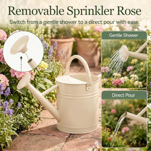 1 Gallon Metal Watering Can for Indoor Outdoor Plants, Warm White - color: Warm White