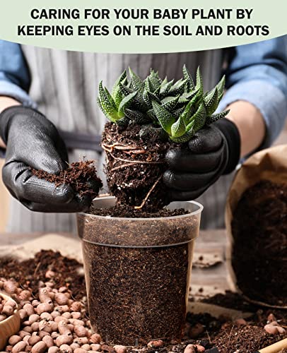 homenote 5 Inch Clear Nursery Pots with Humidity Domes and Labels (15 Pcs) - color: Transparency-with Lid, size: 5 Inch-15 Pack