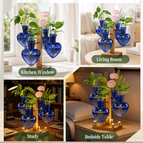 Plant Terrarium Propagation Station with 4 Heart Glass Vases - Deep Blue - color: Deep Blue
