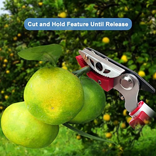 4 Section Extendable Tree Pruner & Pole Saw with Cut and Hold