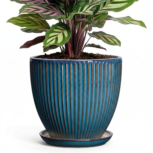 6 Inch Plant Pot, Ceramic Flower Pots for Indoor Plants, Round Planters with Drainage Hole and Saucer, Decorative Small Modern Flower Pots, Home Room Decor, House Warming Gifts, Retro Blue - color: Retro Blue, size: 6 Inch