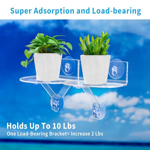 2-Pack Acrylic Window Plant Shelves with Suction Cups & Support Brackets - Rectangle Window Sill Extender for Herb Pots, Succulents, Flower Boxes, Micro Greens | Indoor/Outdoor Use - size: 5.5*7.7IN*2PC Rectangular