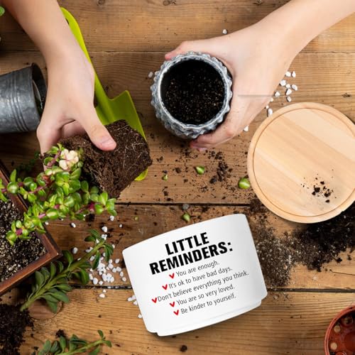 Office Desk Shelf Decor, Funny Succulent Plant Pot (Plants Not Included) - style: Office-Little reminder