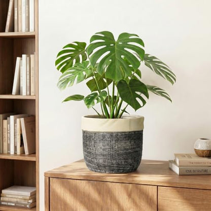 8 Inch Plant Pot, Ceramic Flower Pots, Round Planter, Light Black - color: Light Black, size: 8 Inch