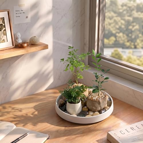 Ceramic Plant Saucer 6.5 Inch 2 Pack White, Fits Pot Base Under 6 Inch - size: 6.5in 2pack