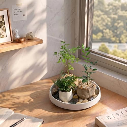 Ceramic Plant Saucer 6.5 Inch 2 Pack White, Fits Pot Base Under 6 Inch - size: 6.5in 2pack