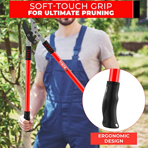 TABOR TOOLS GG12A Anvil Lopper with Compound Action, 30 Inch Tree Trimmer & Branch Cutter, Heavy Duty Tree Pruner with 2 Inch Cut Capacity, Chops Thick Dry Branches with Ease - style: GG12A 30 Inch Anvil Lopper with lever