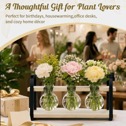 3-Bulb Plant Propagation Station, Glass Vase Terrarium, Retro White - color: White
