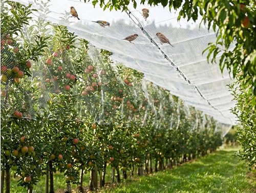 16x30ft/5x9m HDPE Anti Aging Orchard Garden Anti Hail Anti Bird Netting - size: 16 x 30 ft