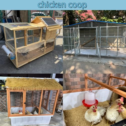 19 Gauge Galvanized Hardware Cloth, Welded Wire Metal Roll Chicken Fence Wire Mesh Screen Roll, Garden Rabbit Fencing, Snake Fence, Chicken Gopher Racoons (1/2 Inch-16Inch x 20Ft) - size: 1/2 Inch-16Inch x 20Ft