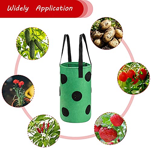 Upside Down Tomato Planter-3 Gallon Hanging Strawberry Planter Durable Aeration Fabric Grow Bags for Vegetables (Set of 3- Red，Green and Black) - color: Set of 3- Red，green and Black