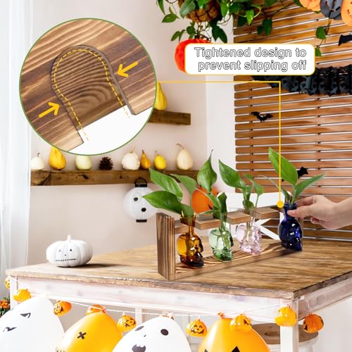 Plant Propagation Stations Halloween Skull Plant Terrarium Kit - color: Color02