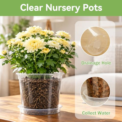 6 Inch Clear Nursery Pots with Drainage Hole 12Pcs,Plastic Plant Planters - color: 6 in