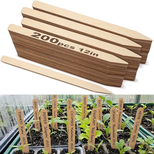 Weysat 200 Pcs 12" Wood Plant Labels for Field or Containers Plant Tags Wood Garden Labels for Seedling Stakes Markers Nursery Seed Tags with Smooth Surface for Pot Herbs Flowers Vegetables (Natural) - color: Natural, size: 12 Inch