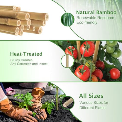 Garden Stakes 7FT, Natural Bamboo Stakes 7 Feet, 3/4" D Thicker Heavy Duty Plants Stakes 15 Pack for Tomatoes, Beans, Flowers, Potted and More Climbing Plants - size: 7FT, pack of 15