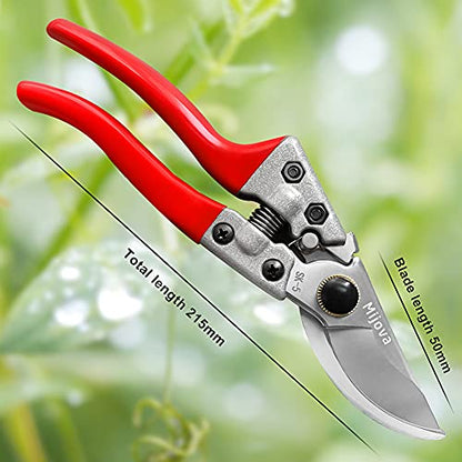 Gardening Pruner, Sharp Scissors - color: Silver