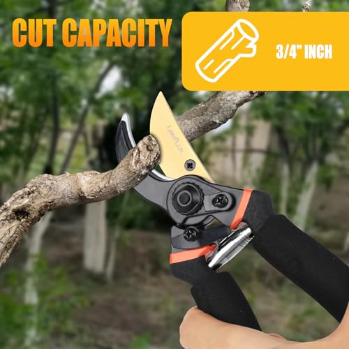 LeafLux Pruning Shears, Professional SK5 Quality Durable Titanium Plated Rust-Proof Bypass Pruning Shears with Soft Cushion Grip Handle, Hand Pruners, Clippers for Gardening, 8 Inch, LFXP1003B