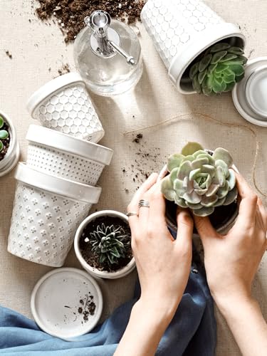 LE TAUCI Ceramic Succulent Pots, 4 Inch Small Plant Pot for Indoor Plant Cactus, Embossed Flower Pots with Drainage Hole & Saucer - Set of 4, Arctic White - size: 4 inch