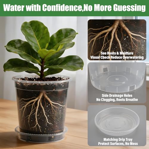 BTPLASTIK 0.5 Gallon Clear Nursery Pots with Saucers 10P, 6.5 Inch Round Plastic Plant Pots with Drainage Holes - size: 0.5 Gallon + Saucers 10P