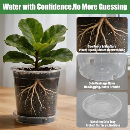 BTPLASTIK 0.5 Gallon Clear Nursery Pots with Saucers 10P, 6.5 Inch Round Plastic Plant Pots with Drainage Holes - size: 0.5 Gallon + Saucers 10P
