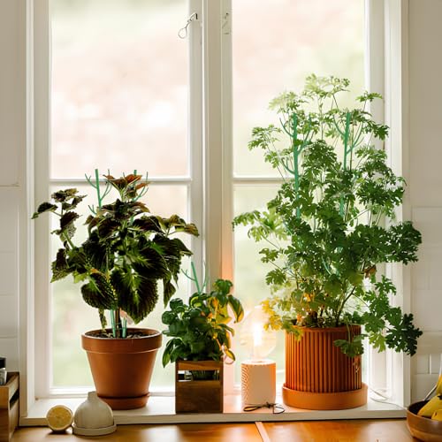Orgrimmar 6 Pack Monstera Plant Support Stakes Adjustable Length with Green Ties for Indoor Outdoor Climbing Plants