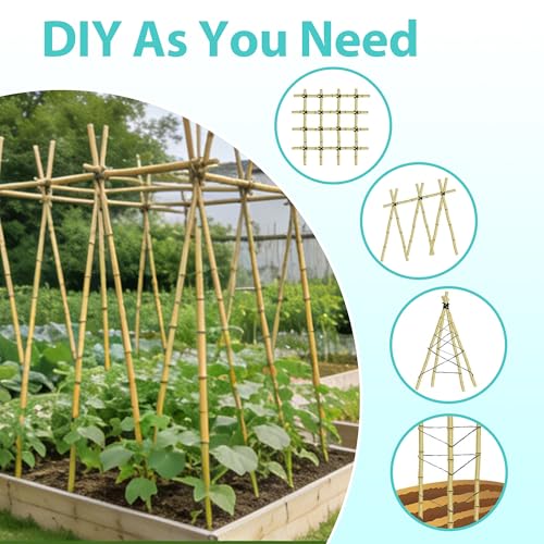 Bamboo Stakes 6FT, 20pcs Garden Stakes 72in Specifically Designed for Climbing Plants, Ideal for Tomatoes, Beans, Cucumbers, Peppers, Vines, and More Plant Growth - size: 6FT, 20pcs