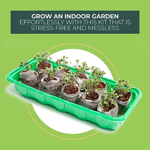Window Garden Mini Greenhouse Seed Starter Kit – Reusable Seedling Trays - Indoor Germination Tray with Humidity Dome and Soil Pods - Windowsill Seeds Germinator - 30 Cells Starting Trays, 3 Pack