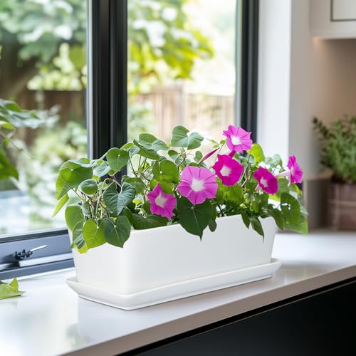 SQOWL Rectangular Planter - 10 Inch Ceramic Pots for Plants with Drainage Hole and Saucer, Succulent Pots for Indoor Outdoor, Cactus Herb Planter, Home Decor, Gifts for Plant Lovers, Glossy White