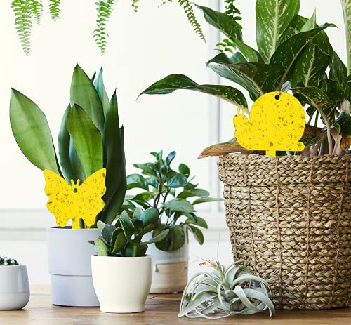 Gideal 48-Pack Dual-Sided Yellow Sticky Traps for Indoor/Outdoor Use, Gnat Trap for Flying Plant Insect Such as Fungus Gnats, Whiteflies, Aphids, Fruit Fly, Leafminers, etc - Cute Shapes - size: 48 Pack