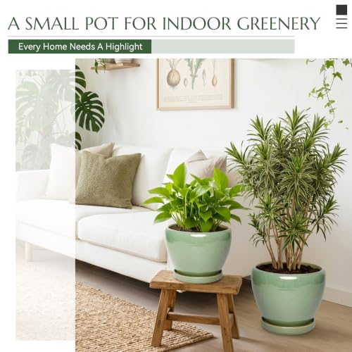 Ceramic Planter with Saucer for Indoor Plants (Light Green, 8.7 Inch) - color: Light Green, size: 8.7 Inch