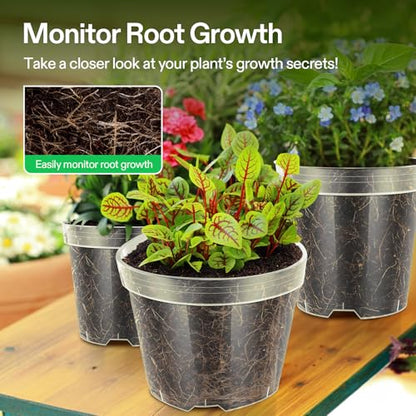 VIVOSUN 80 Packs 3/4/5/6 Inch Clear Nursery Pots with Drainage Holes, Reinforced Plastic Seedling Pots for Plants, Flowers, Cuttings, and Succulents, 40 pcs Plant Labels - size: 3/4/5/6 Inch (Pack of 2)