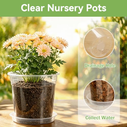 4 Inch Clear Nursery Pots, 20 Pack - color: 4in