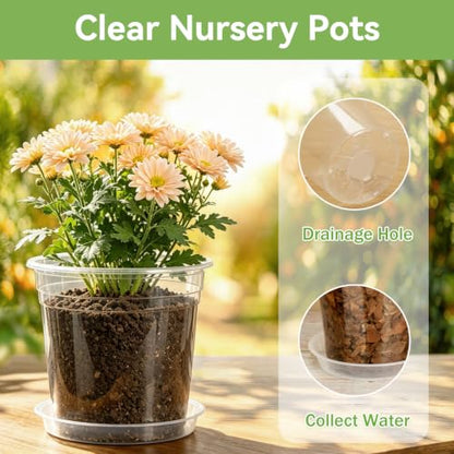 4 Inch Clear Nursery Pots, 20 Pack - color: 4in