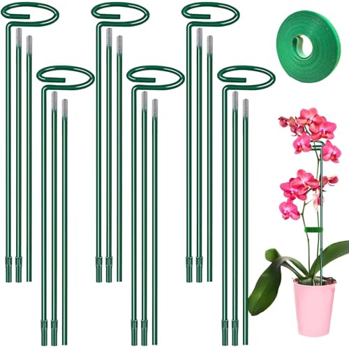 Plant Support Stakes 6 Pack, 12/24/36 Inch Heavy Duty Metal Plant Stakes, Adjustable Garden Plant Support Cages/Rings for Outdoor Indoor Plants, Plant Stick Support for Amaryllis Tomato Peony Orchid