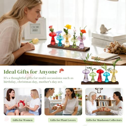Glasseam Mushroom Propagation Station, Glass Plant Terrarium Jars with Tray