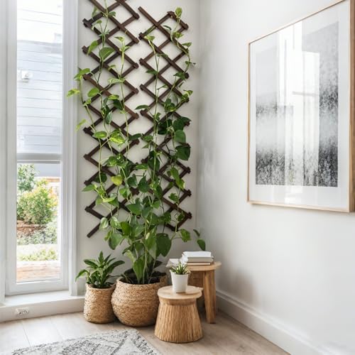 Expandable Garden Trellis, 13"x68" Trellis for Climbing Plants Outdoor 1Pcs - size: 13" x 68" 1 Pack