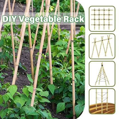 2ft Natural Bamboo Plant Stakes for Tomatoes, Beans, Flowers, Potted, Climbing Plants 30pcs - size: 2FT 30PCS