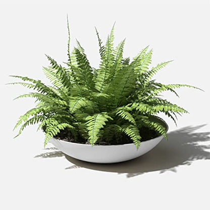 Veradek Mason Series Lane Bowl - Large Outdoor Bowl Planter - color: White, size: 8"H x 32"DIA