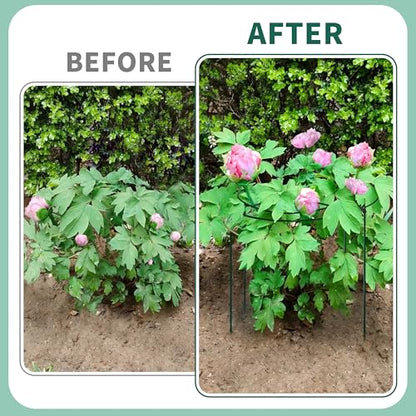 8 Sets Peony Support Cage,Heavy Duty Metal Plant Support Rings with 3.5mm Thickened Legs,10"Dia.x16"High Grow Through Hoops for Peonies and Tall Plants,Rust-Resistant Strong Support for Heavy Blossoms - size: 10"X16"-8PCS