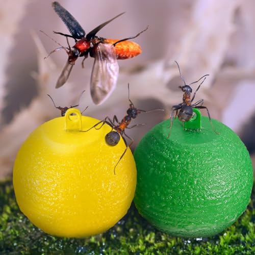 Qualirey 20 Pcs Sticky Fruit Fly Trap Ball Adhesive Fly Catching Ball Sticky Glue Fly Gnat Wasp Hornet Mosquito Bugs Flying Insects Trap Ball Traps (Yellow) - color: Yellow, size: Flat Top