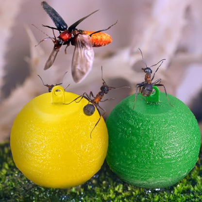 Qualirey 20 Pcs Sticky Fruit Fly Trap Ball Adhesive Fly Catching Ball Sticky Glue Fly Gnat Wasp Hornet Mosquito Bugs Flying Insects Trap Ball Traps (Yellow) - color: Yellow, size: Flat Top