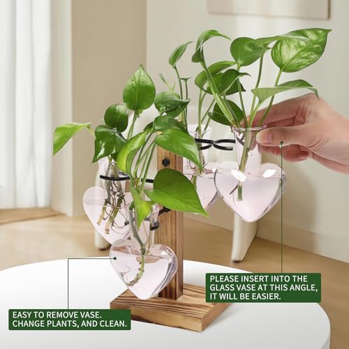 Plant Terrarium Propagation Stations with Wooden Stand - color: Pink
