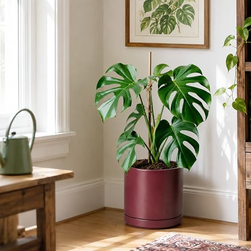 D'vine Dev 10 Inch Ceramic Planter Pot, Cordovan, 94-O-E-4 - color: Cordovan, size: Large