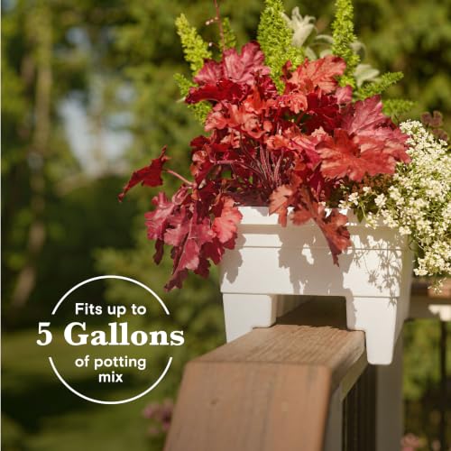 Greendigs 24" White Plastic Rail Planter