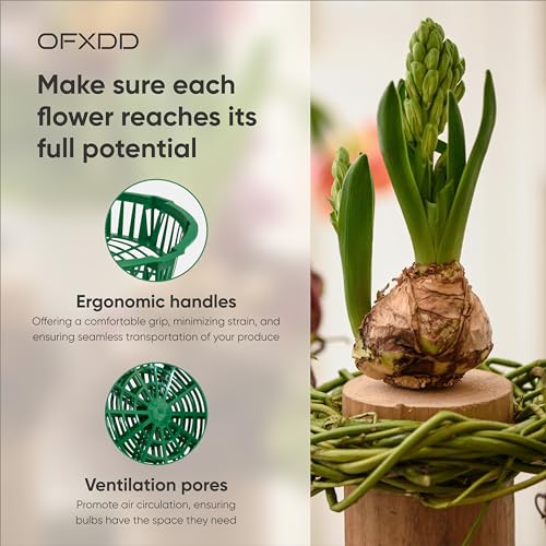 Plant Trays 12 Pcs - Plastic Trays for Bulb Planting - Seedling Trays - Planting Basket for Onion, Flower Bulbs