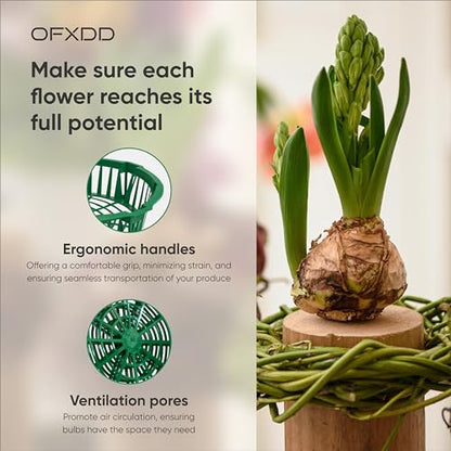 Plant Trays 12 Pcs - Plastic Trays for Bulb Planting - Seedling Trays - Planting Basket for Onion, Flower Bulbs