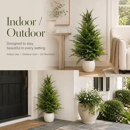 Artificial Fern Trees 3FT, 2 Pack with Pots, UV Resistant Outdoor - color: Fern Trees, size: 3FT