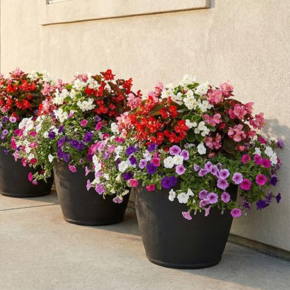 Sunnydaze Anjelica 20'' Large Plastic Planter Pot for Plants, Black - color: Matte Black, size: 20 in