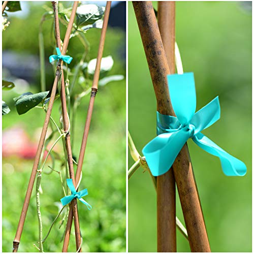 TELENT OUTDOORS 2 Pcs 150 Feet x 1/2" Wide Stretch Tie Tape Green Plant Garden Tie, Garden Vinyl Stake for Branches, Climbing Planters, Flowers - size: 300FT